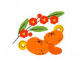 Chinois tangerine